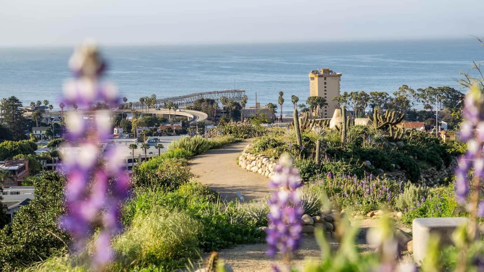 Ventura botanical Gardens