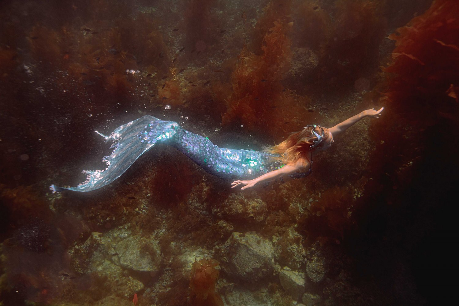 Ventura’s Two Mermaid Statues