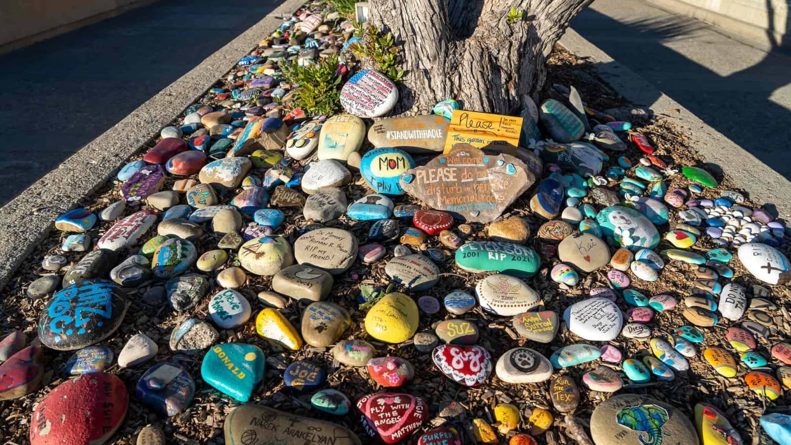 Haole’s Rock Garden in Ventura Tells a Story of Everything Right