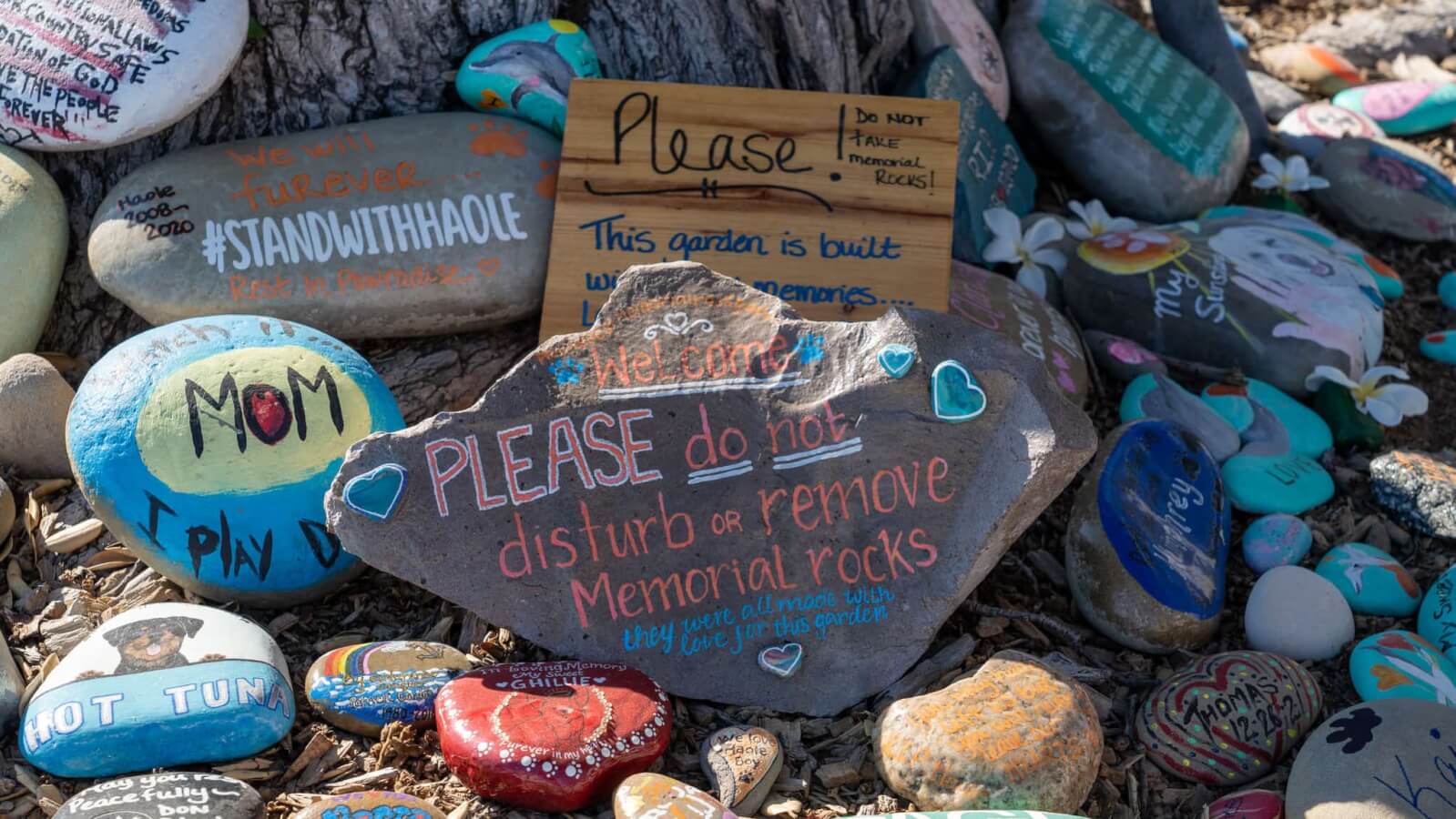 Haole’s Rock Garden in Ventura Tells a Story of Everything Right