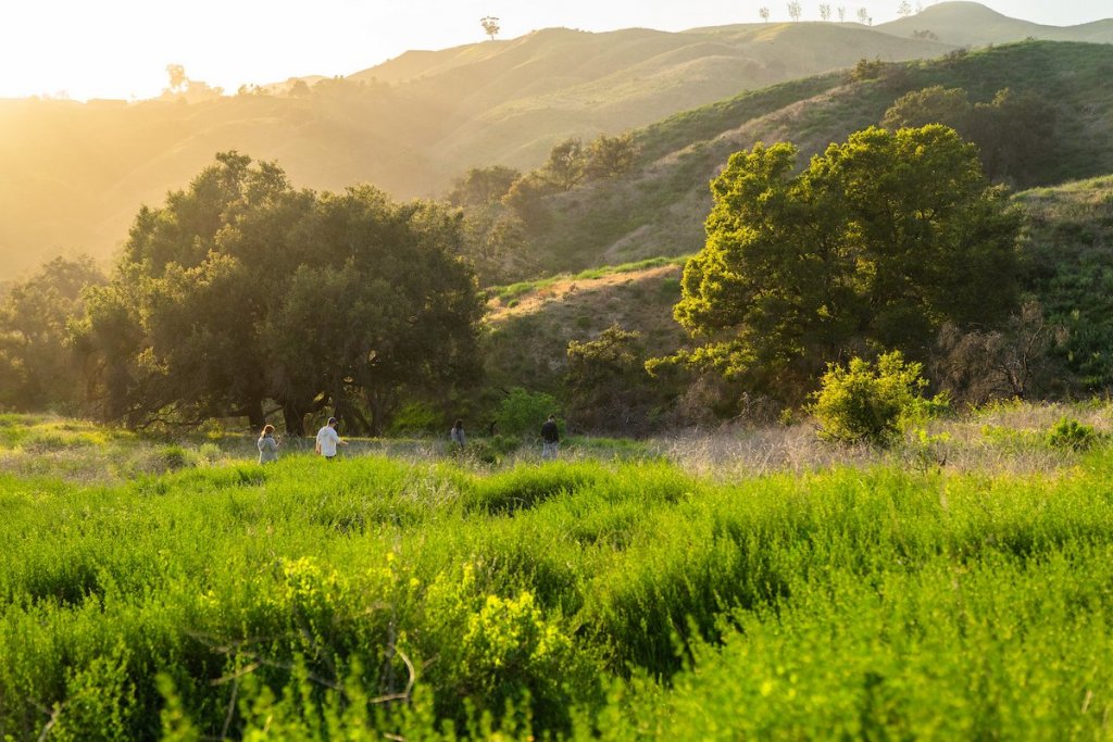 Ten Beautiful Ventura Photos to Just Make You Feel Good