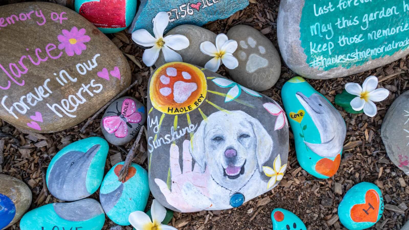 Haole’s Rock Garden