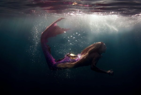 Don’t Stop Believing. A Lesson from Ventura’s Mermaids