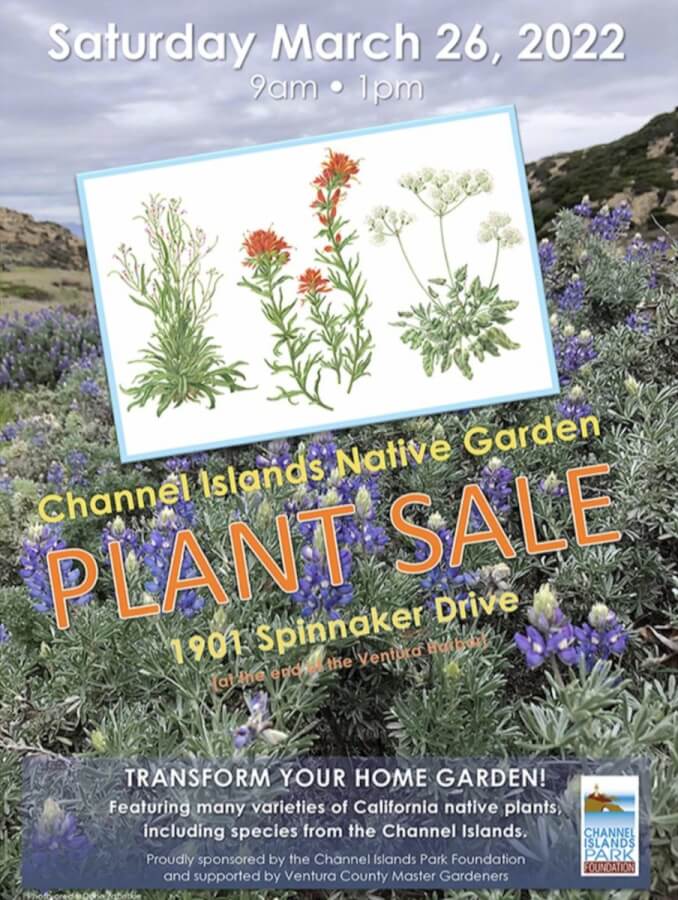 CI Plant sale march 2022