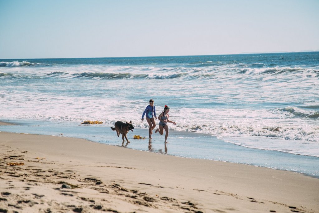 Best Beaches In Ventura 