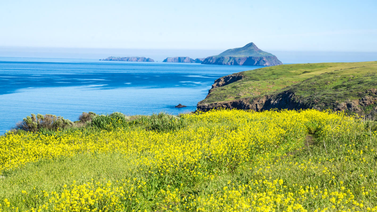 anacapa island at channel islands