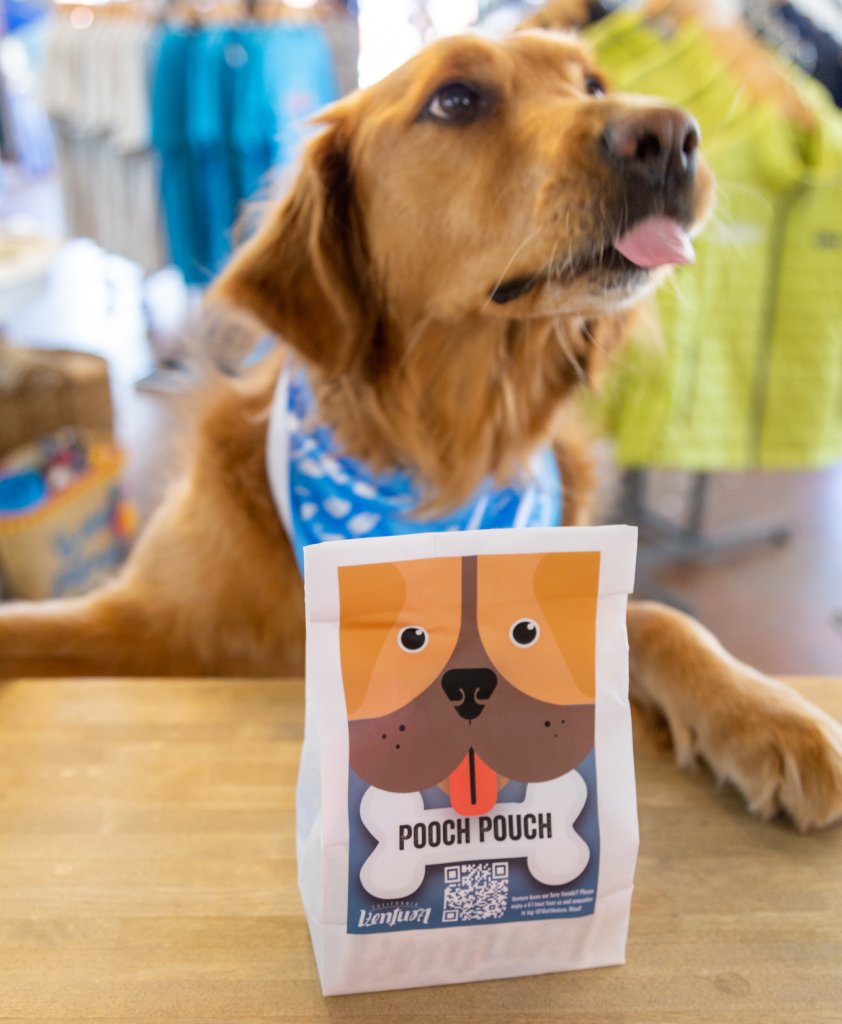 Stay in Ventura with Your Dog and Get a Free Pooch Pouch