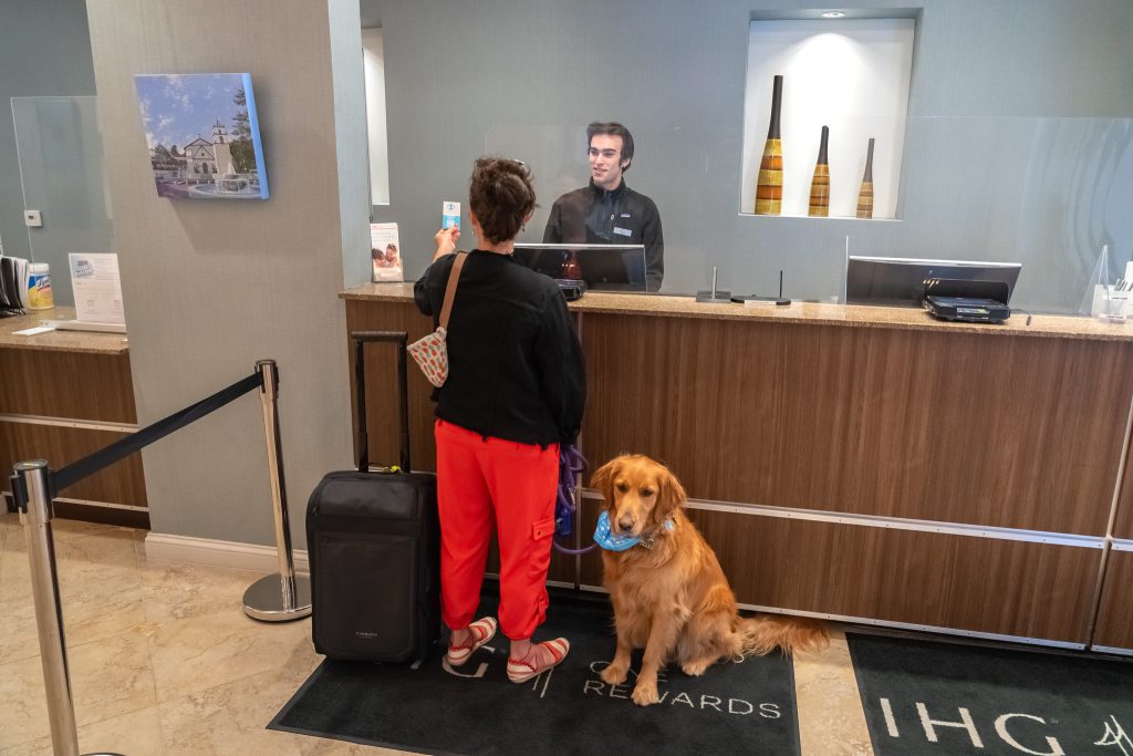 Dog friendly hotels in Ventura