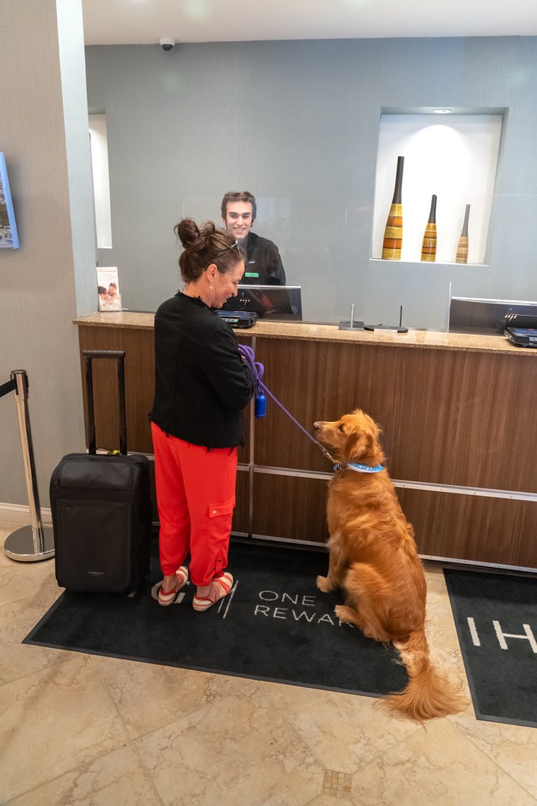 Dog Friendly Beaches Ventura Find Dog Friendly Activities