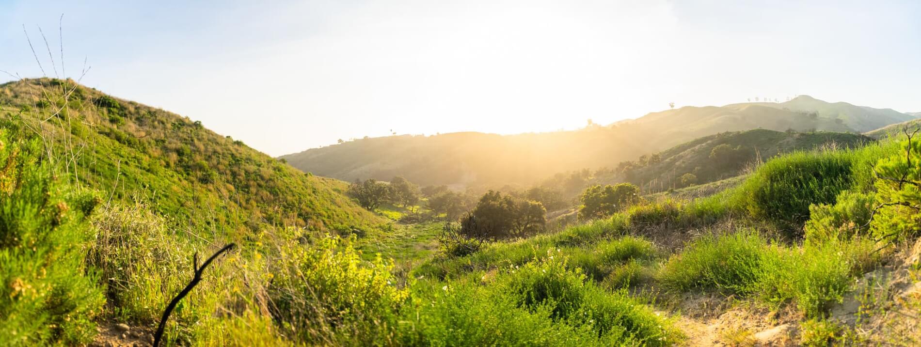 harmon canyon