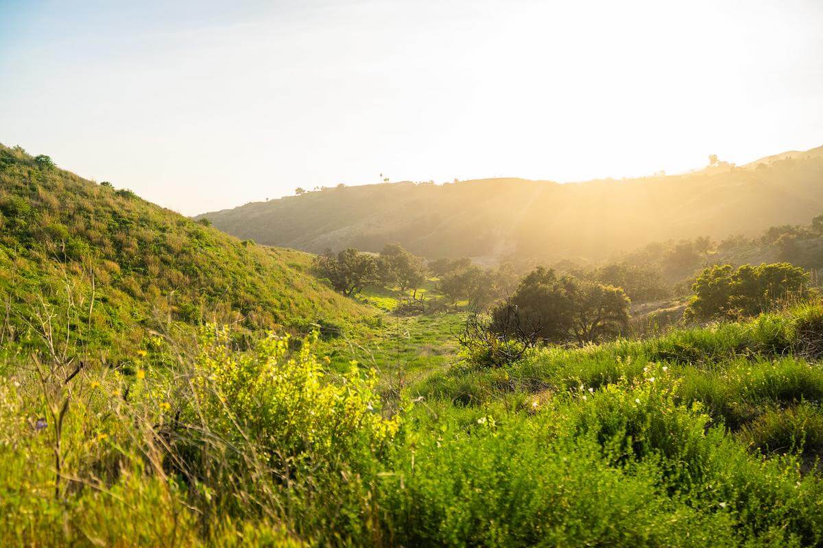 harmon canyon