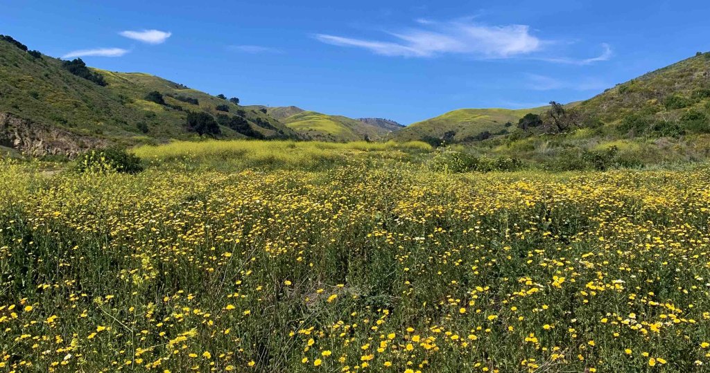 Ventura Land Trust Helping to Preserve Ventura’s Wild and Scenic Places