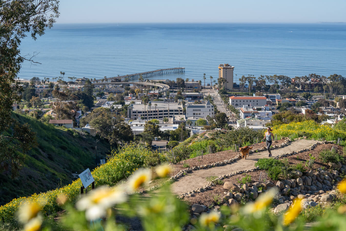 Ventura Botanical Gardens spring