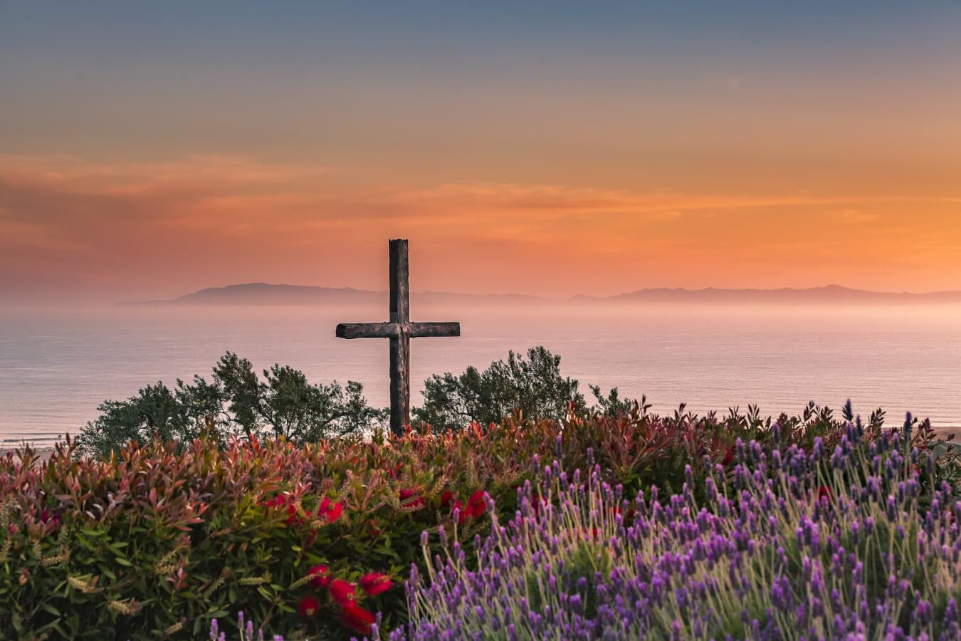 serra cross sunset ventura grant park