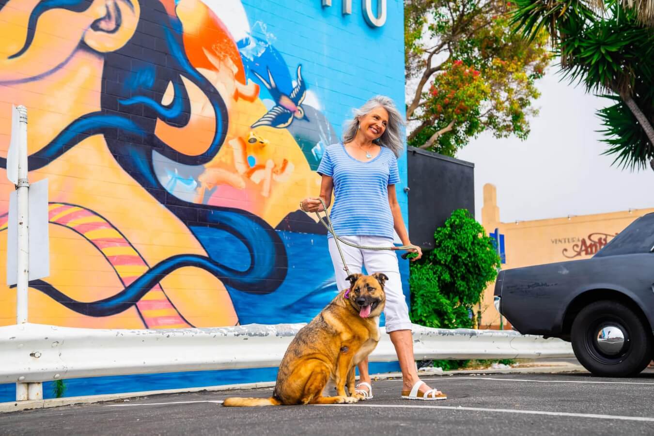 dog mural