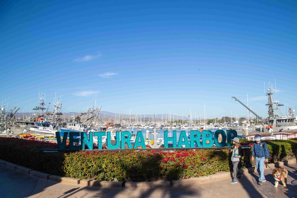 ventura harbor sunny