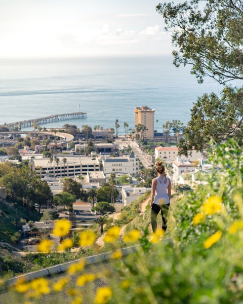 TOP THINGS TO DO IN VENTURA visual data 6