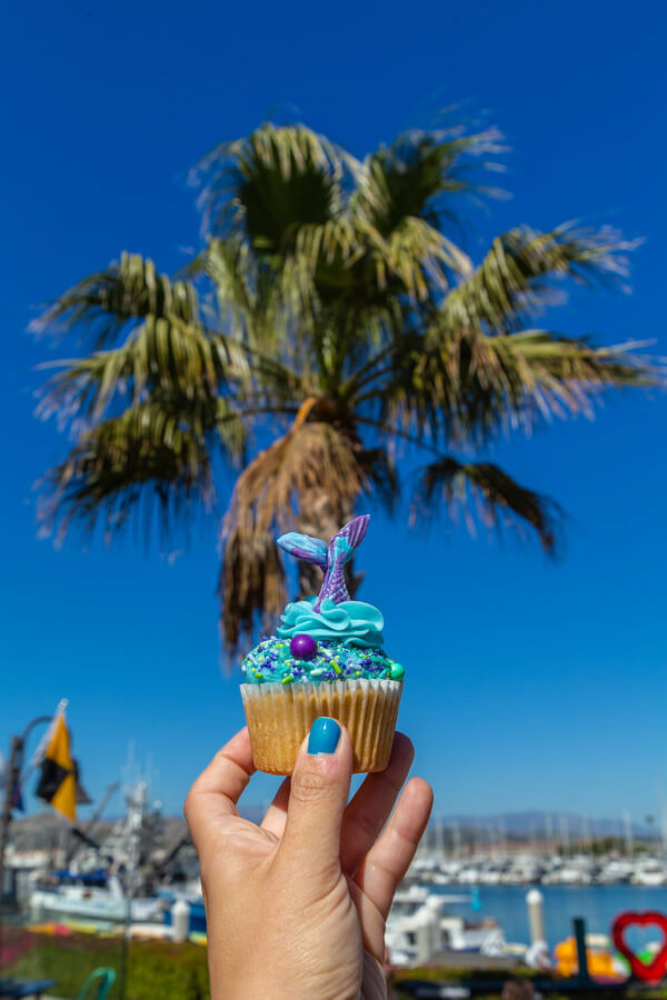 sugar lab bakery blue cupcake