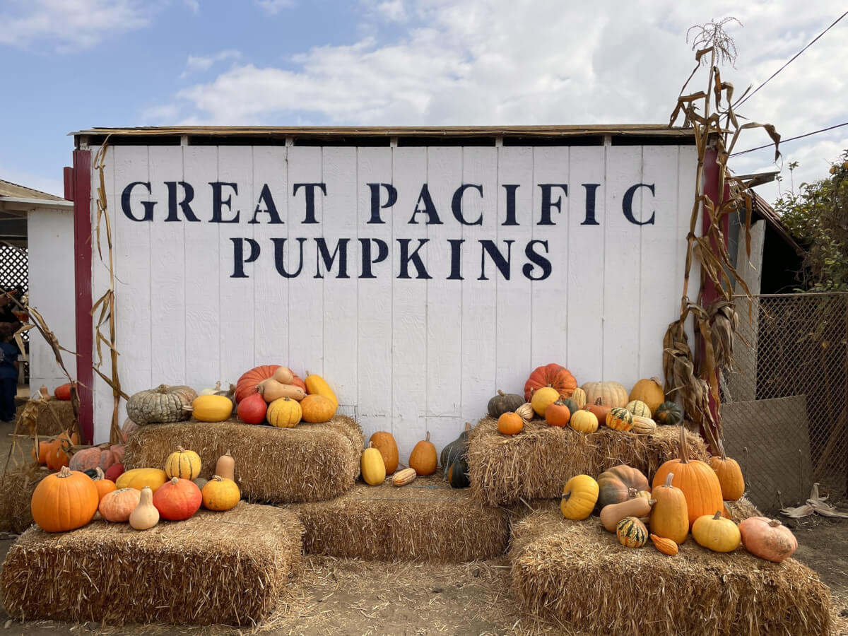 Great Pacific Pumpkins sign