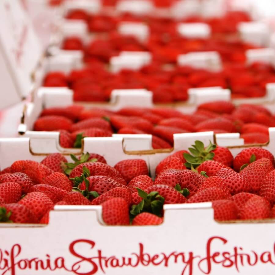 california strawberry festival 