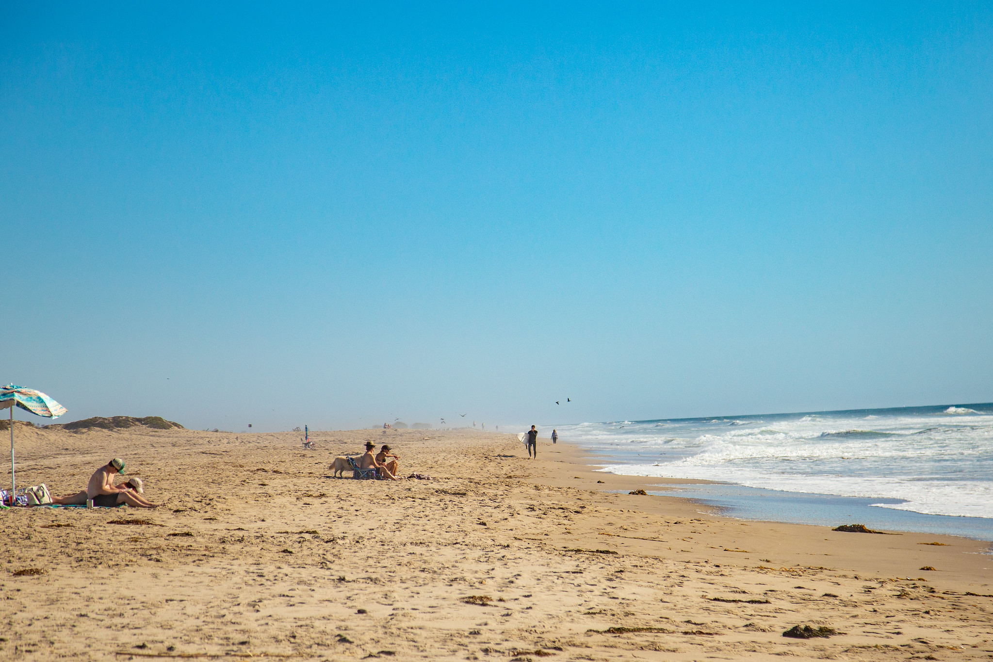 Harbor Cove Beach