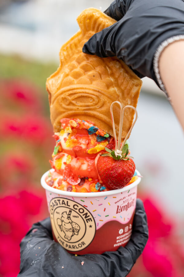 Coastal Cone in Ventura