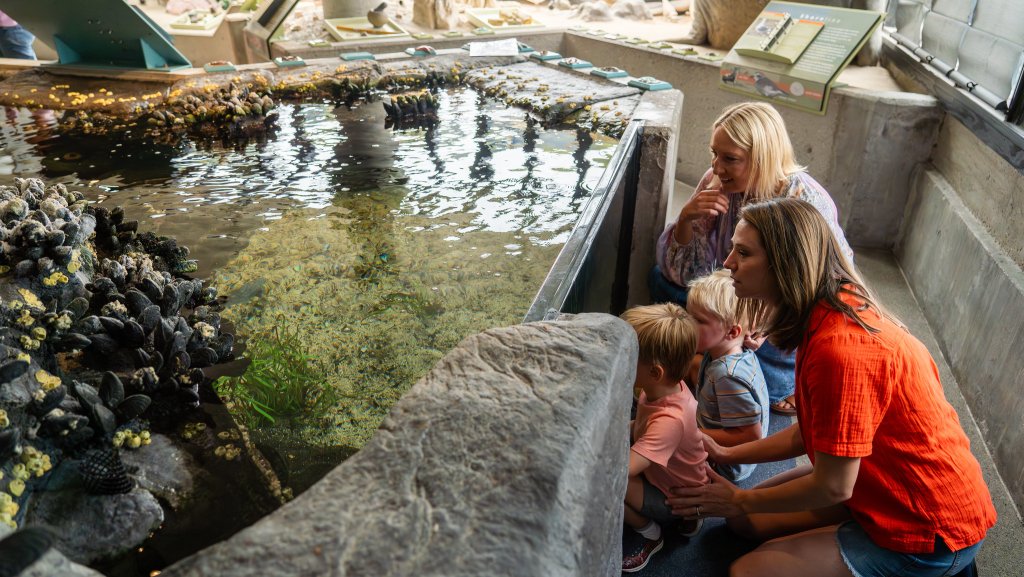 Kids love seeing the mini tank at the Channel Islands National Park Visitor Center