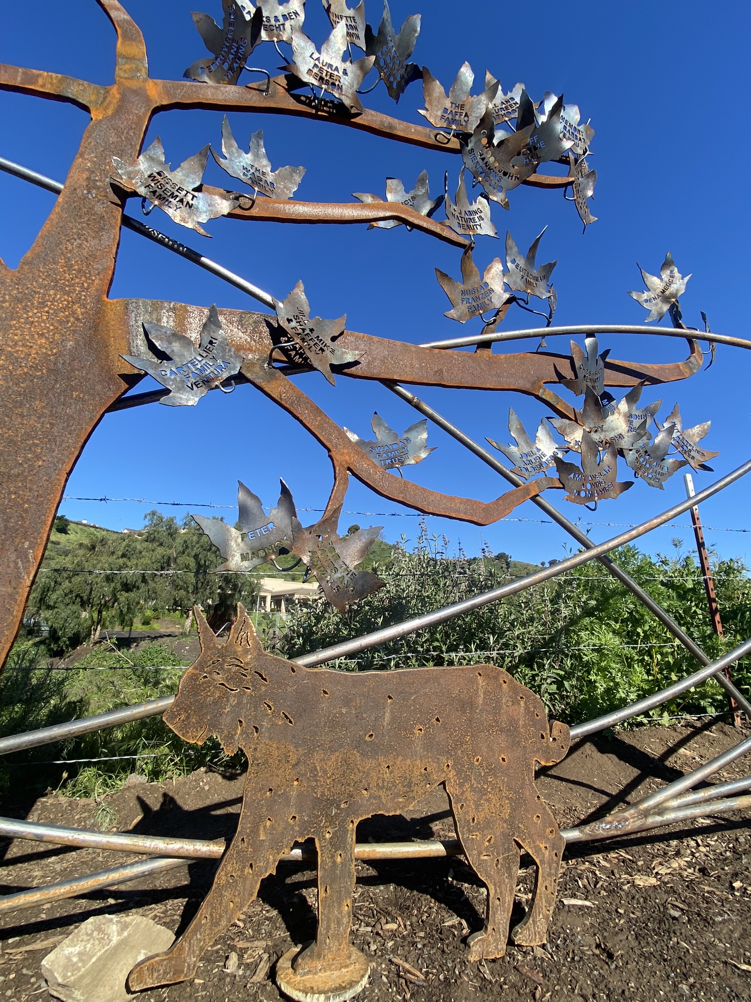 Ventura Land Trust Legacy Wall Tree