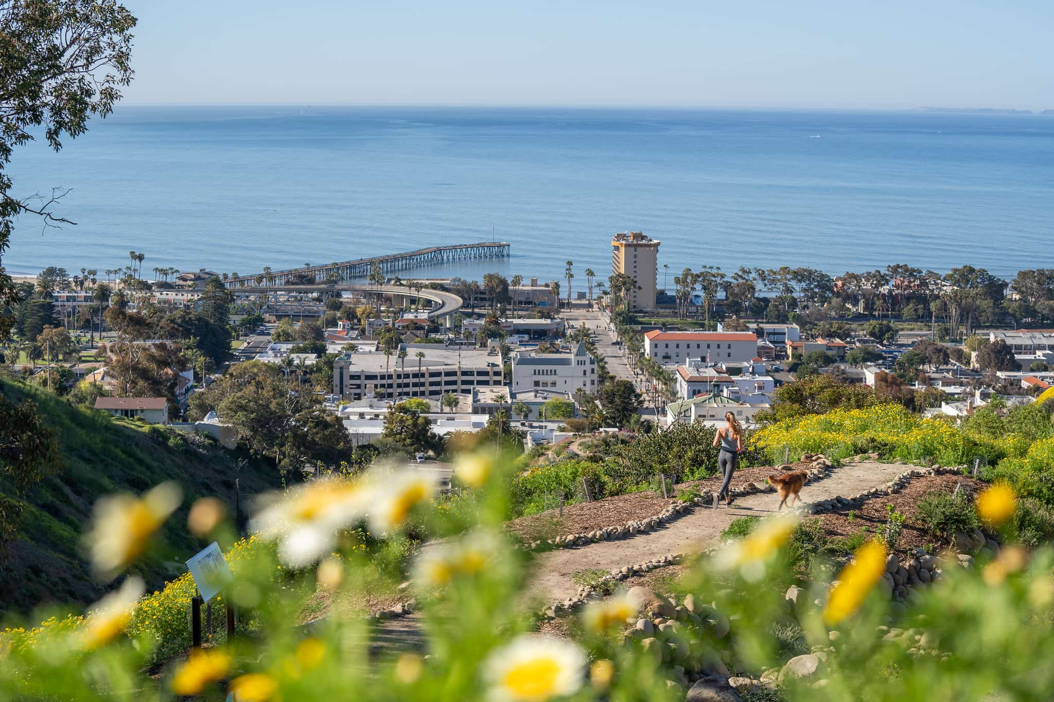 What’s New in Ventura? Events and Businesses to Check Out in September 2023