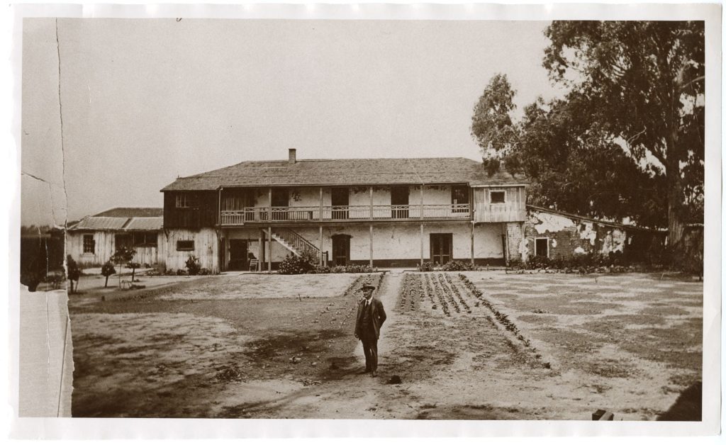 olivas adobe