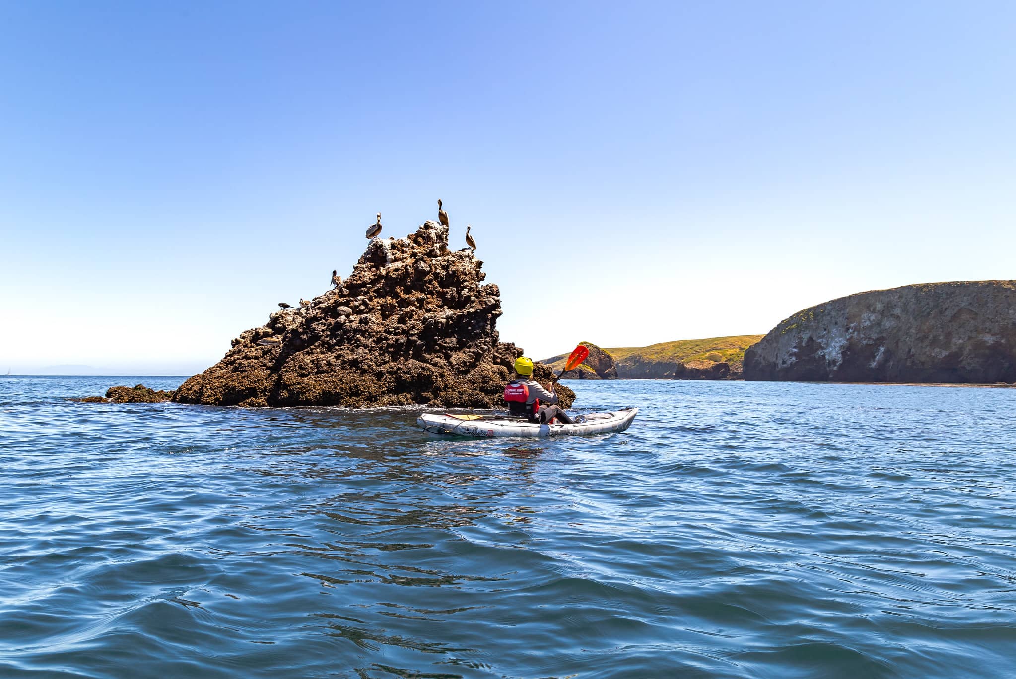 Santa Cruz Island Things To Do Try These 5 Adventures