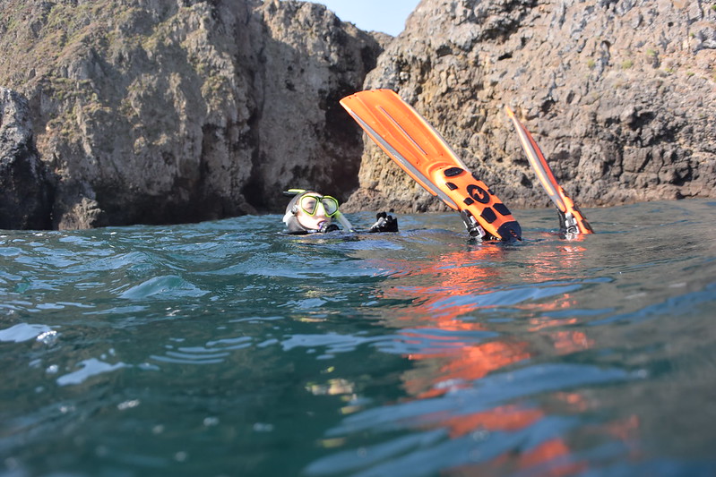 snorkeling at santa cruz island