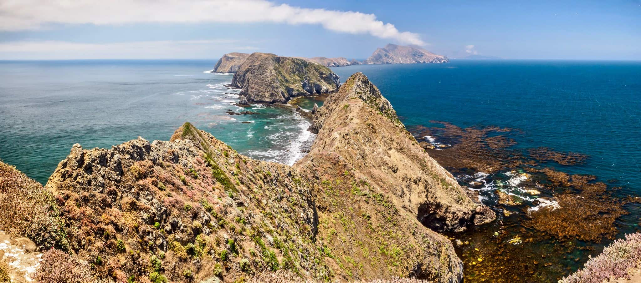 Beginners Guide to a Channel Islands Day Trip