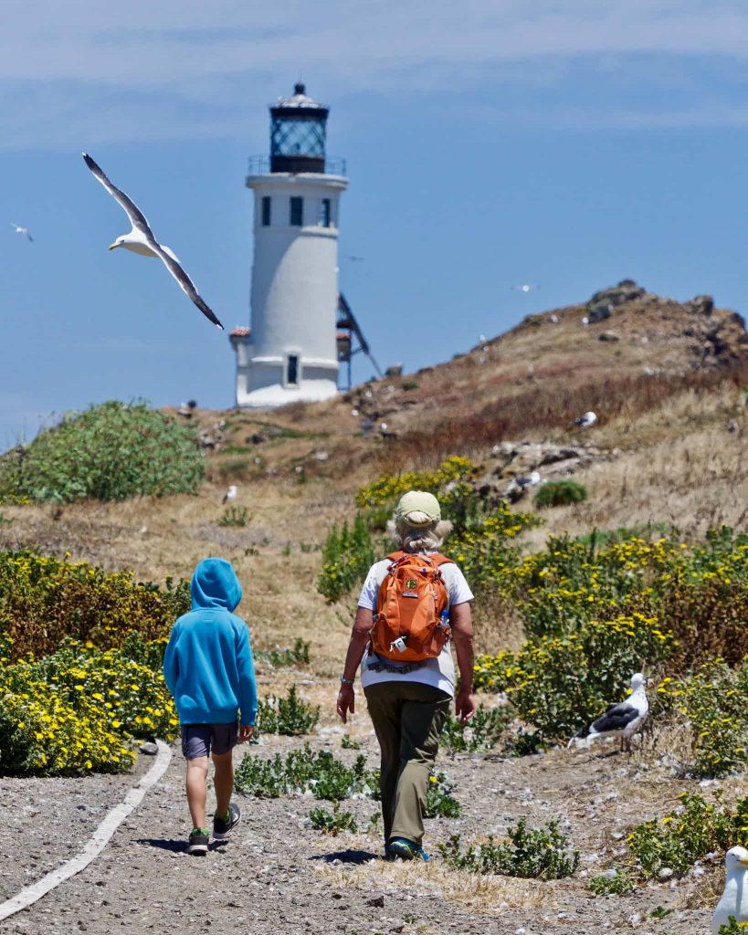 What is Anacapa Island known for?