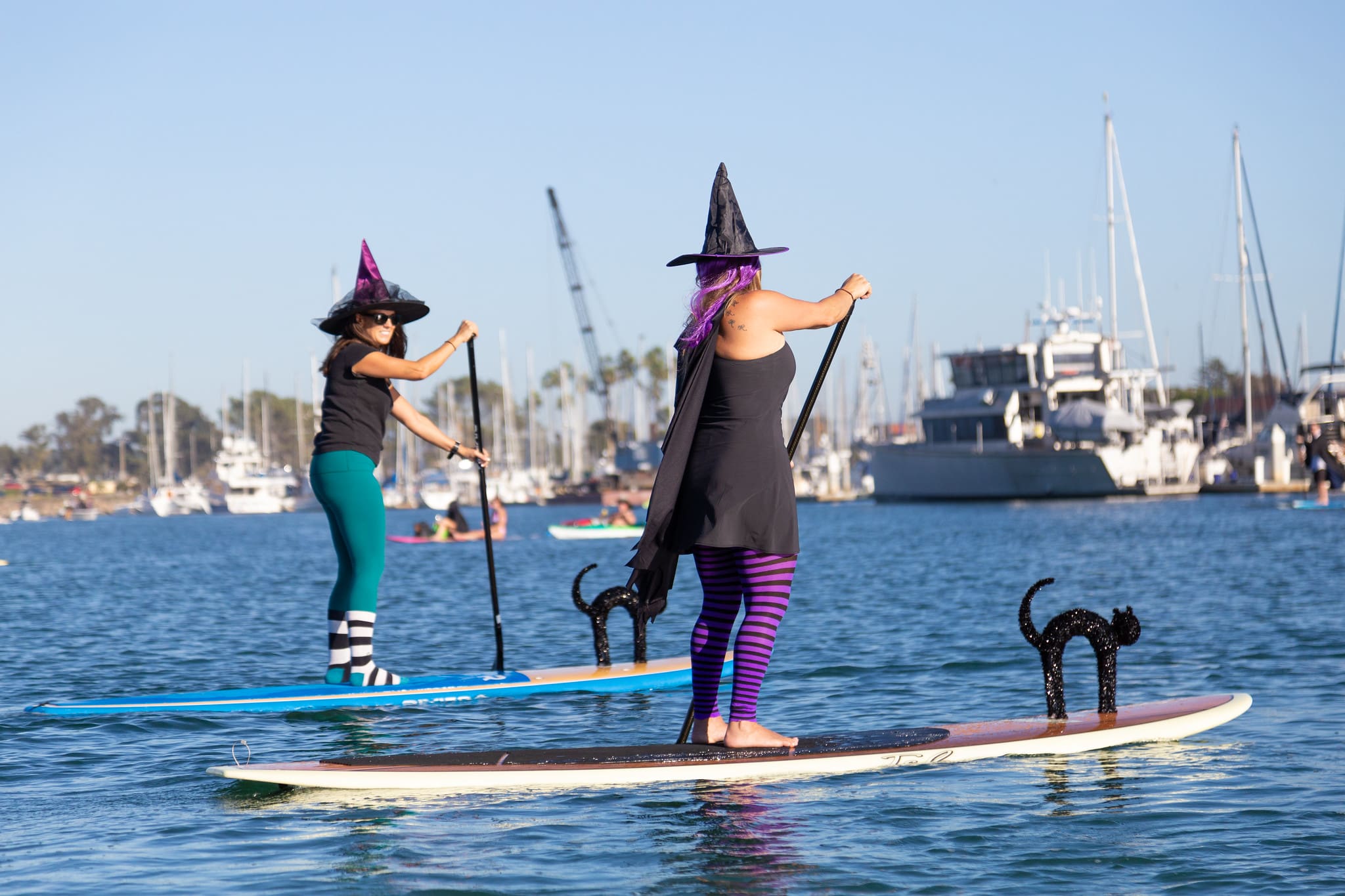 Witches Paddle Ventura Harbor Halloween