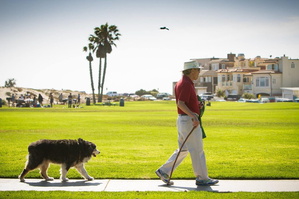 Dog Friendly Parks in Ventura: Marina Park