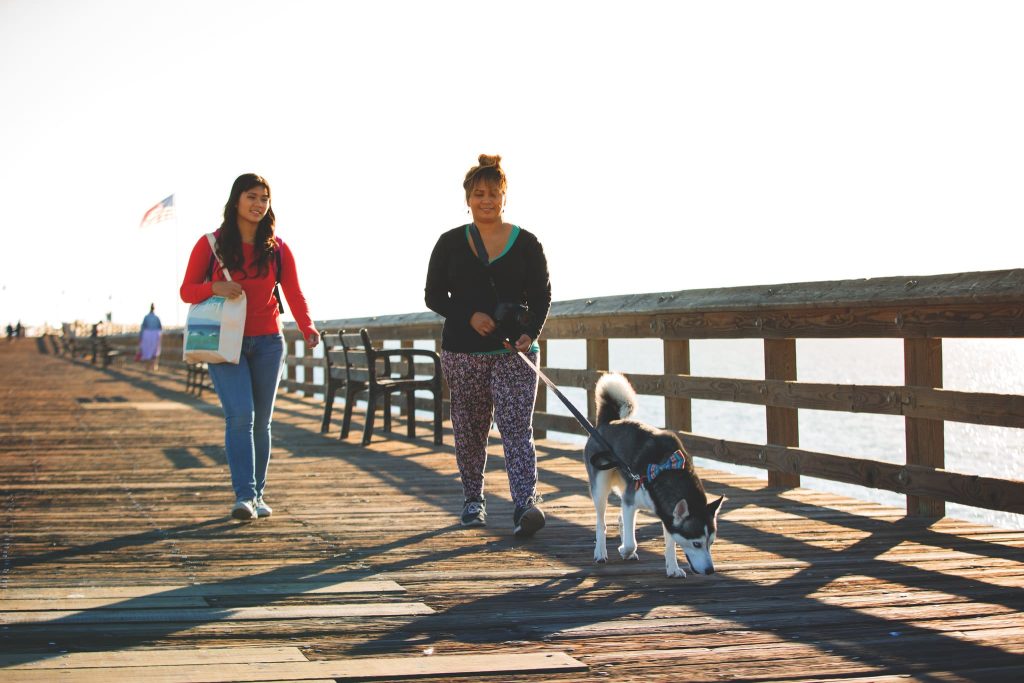 Dog walk on the Ventura Pier
