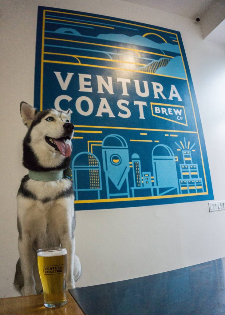 Ventura Breweries, dog friendly, Ventura Coast Brewing