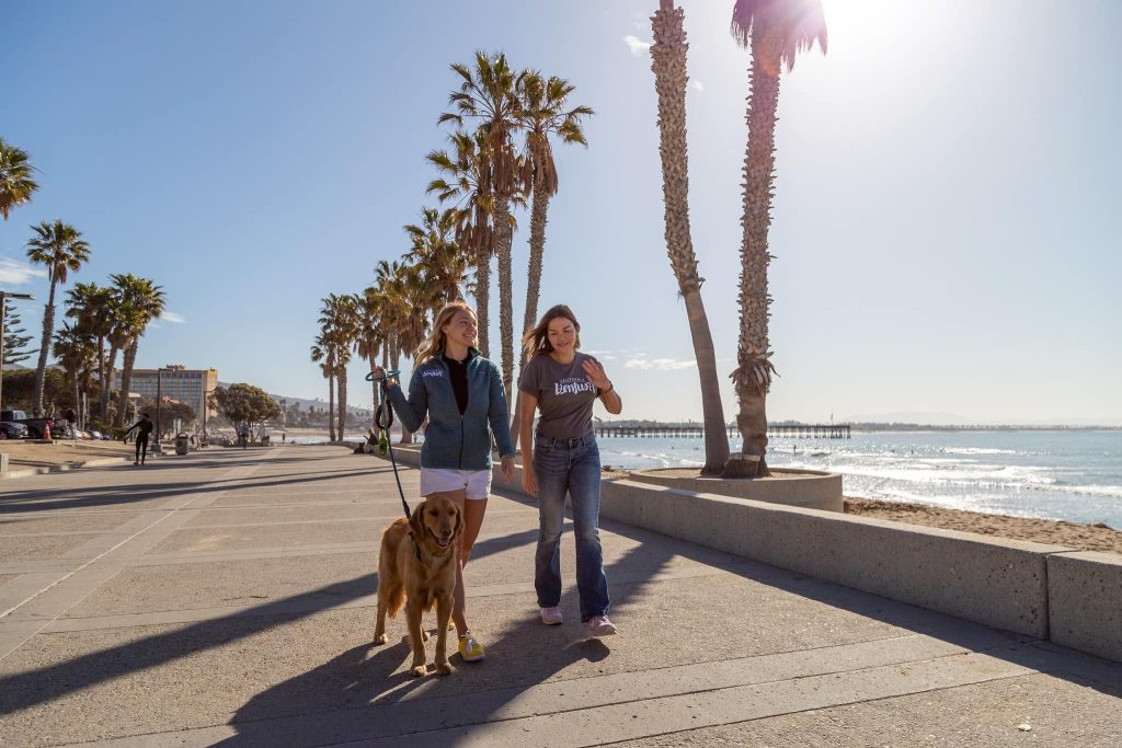 Dog walking on Ventura Promenade, dog friendly