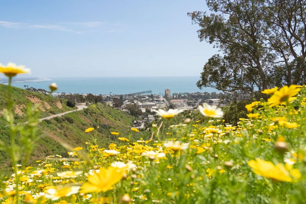 How to Spend the Perfect Spring Day in Ventura