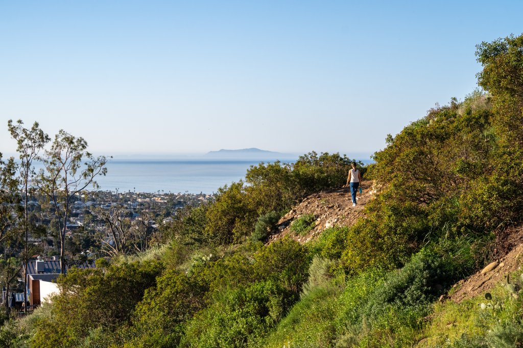 Where to See the California Super Bloom in Ventura