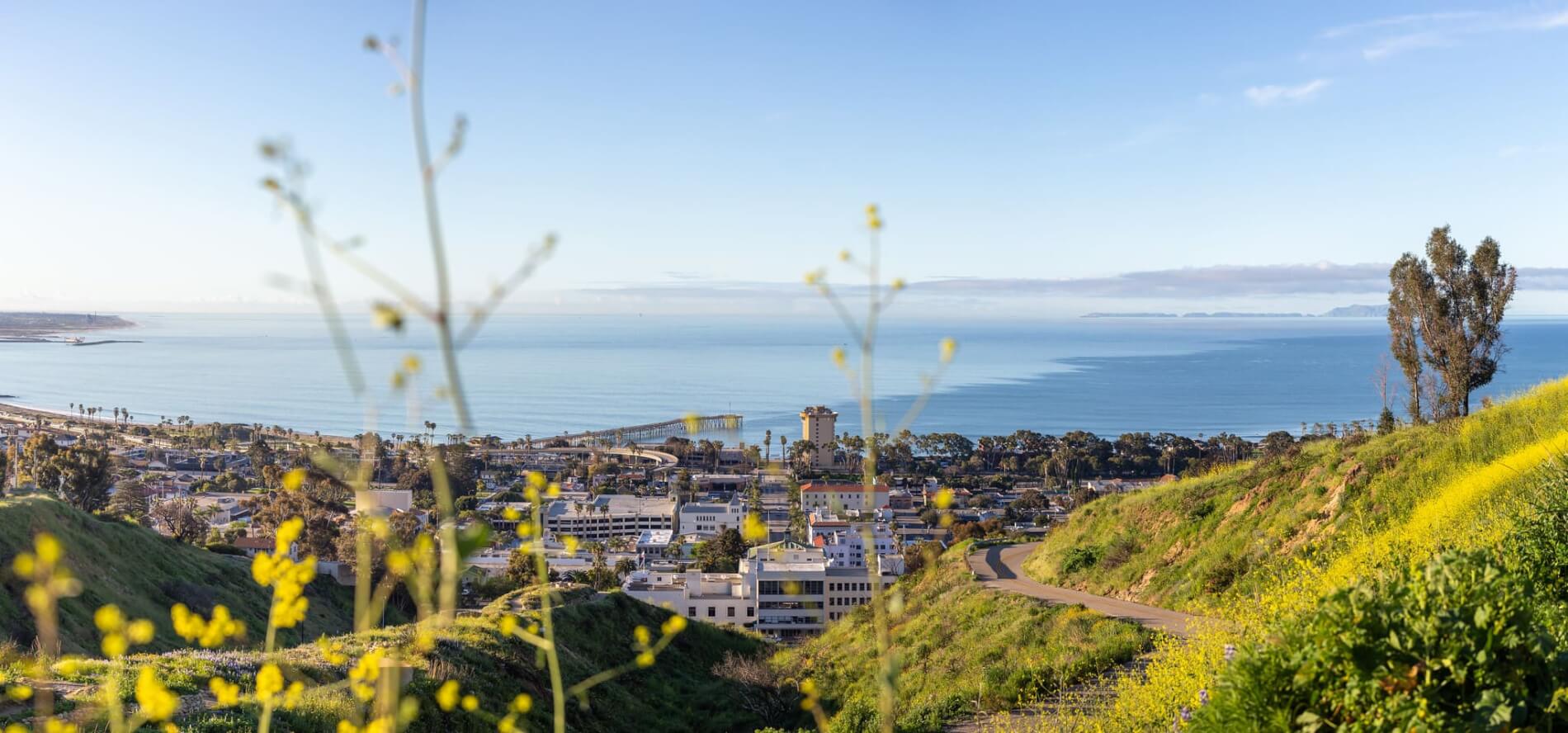 A Tour of the Ventura Botanical Gardens: Nature Walk in Ventura