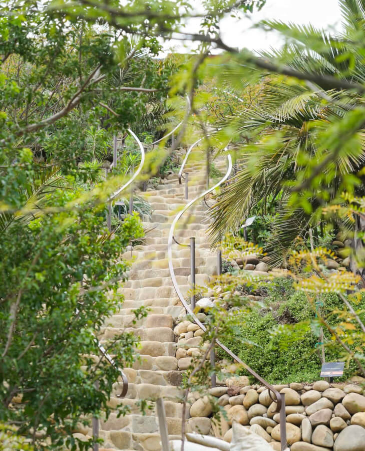 A Tour of the Ventura Botanical Gardens: Nature Walk in Ventura