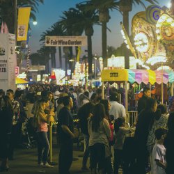 2025 Ventura County Fair At The Ventura County Fairgrounds 5 250x250