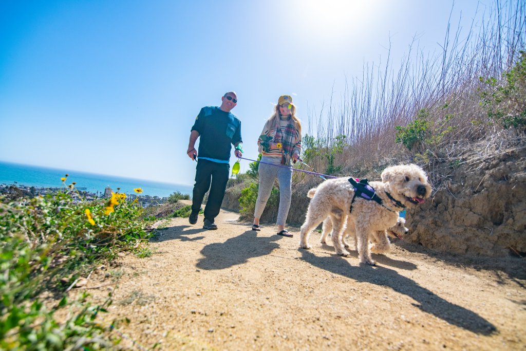 dog walking ventura botanical gardens