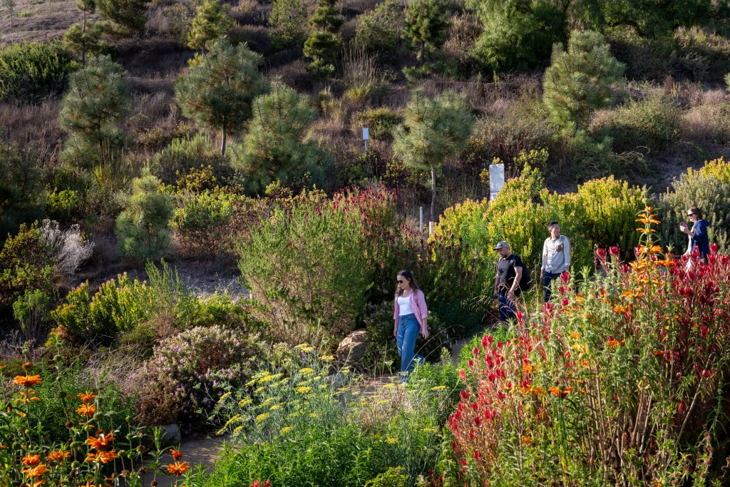 Ventura Botanical Gardens