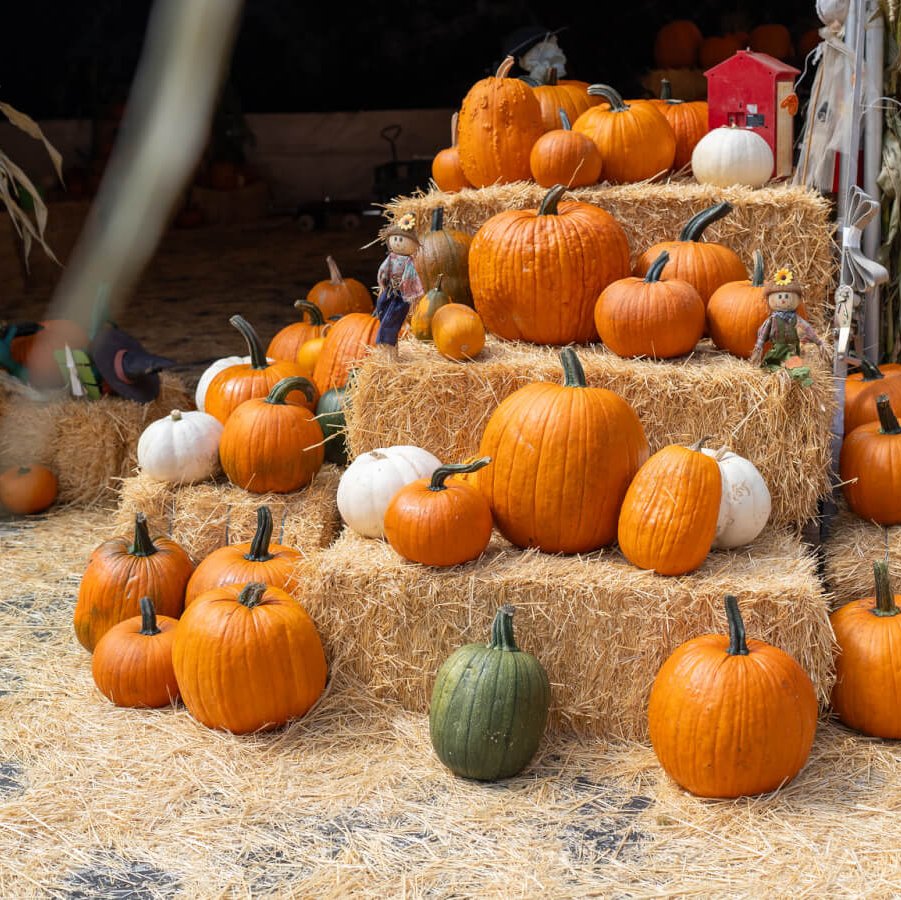 The Ultimate Guide to Halloween in Ventura, CA