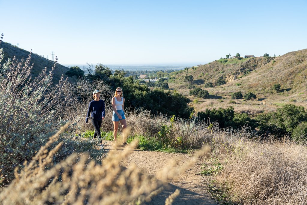 Hiking in Harmon Canyon in Ventura