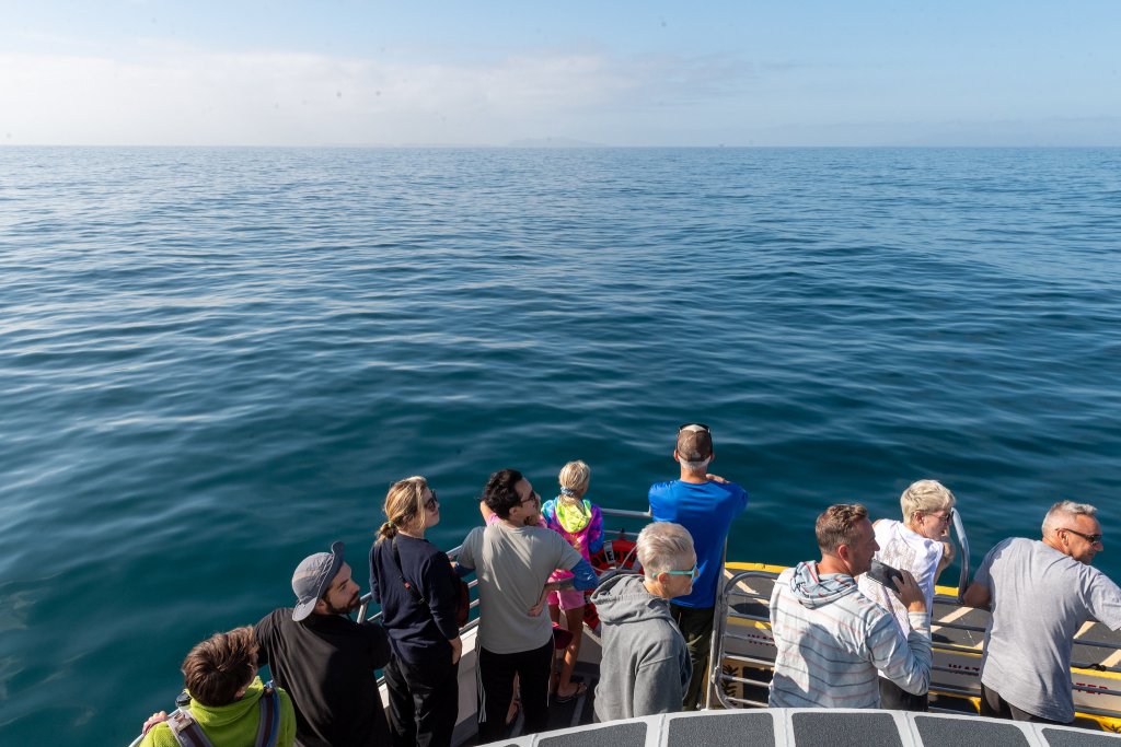 Island Packers Cruise