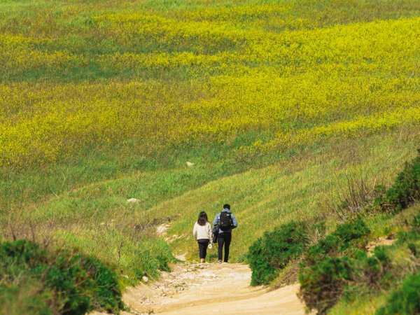 Green hills hiking on Santa Cruz Island, Channel Islands National Park